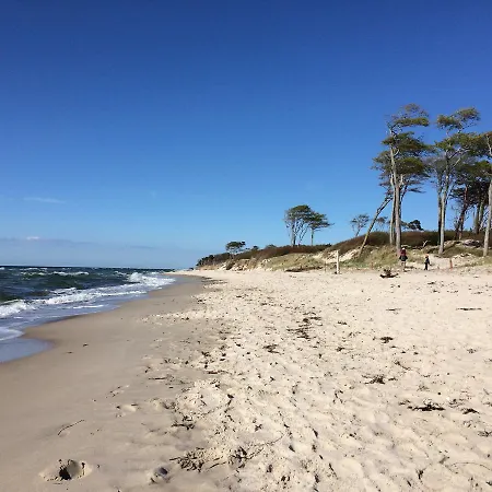 Ferienhaus Strandgut Цингст Экстерьер фото