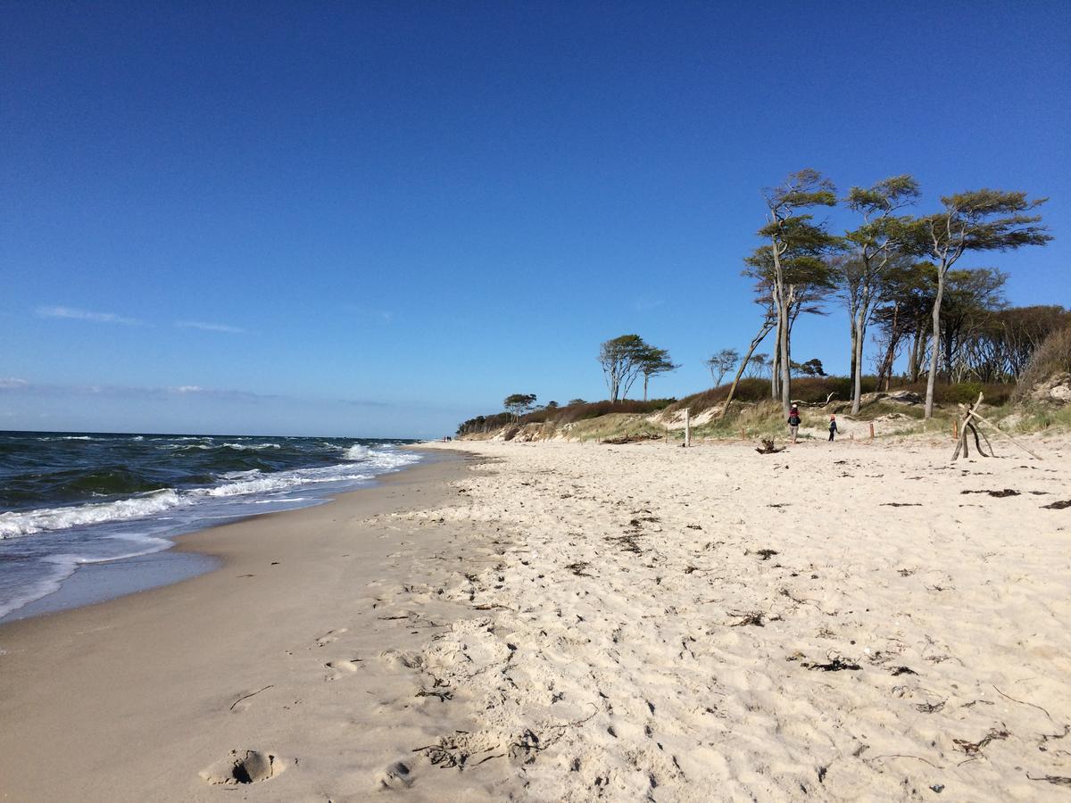 Vakantiehuis Strandgut